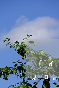 當(dāng)期還款日還款算逾期么(當(dāng)天還款算不算逾期)