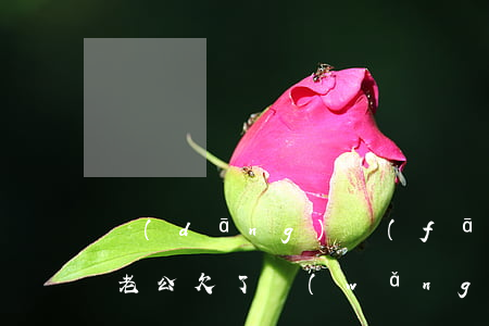 當(dāng)發(fā)現(xiàn)老公欠了網(wǎng)貸該幫忙還清嗎-當(dāng)發(fā)現(xiàn)老公欠了網(wǎng)貸該幫忙還清嗎怎么辦