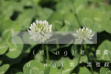 當(dāng)老師需要政審三爺爺嗎(當(dāng)教師需要政審三代人嗎)