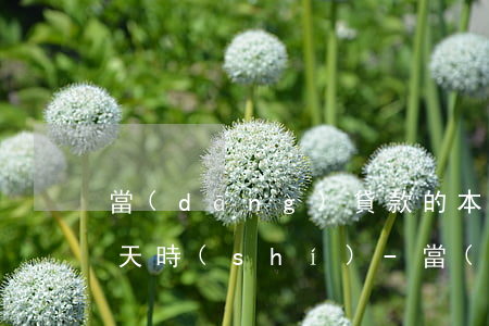 當(dāng)貸款的本金或利息逾期60天時(shí)-當(dāng)貸款的本金或利息逾期60天時(shí),應(yīng)單獨(dú)核算