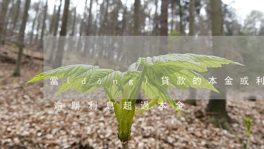 當(dāng)貸款的本金或利息逾期(貸款逾期利息超過本金)