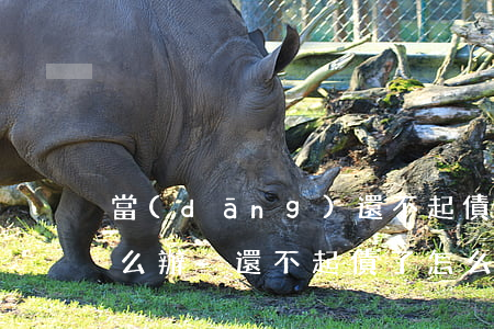 當(dāng)還不起債款時(shí)怎么辦-還不起債了怎么辦