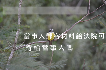 當事人郵寄材料給法院可以嗎(判決書可以郵寄給當事人嗎)