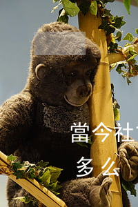 當今社會信用卡還不起-還不起信用卡的人多么