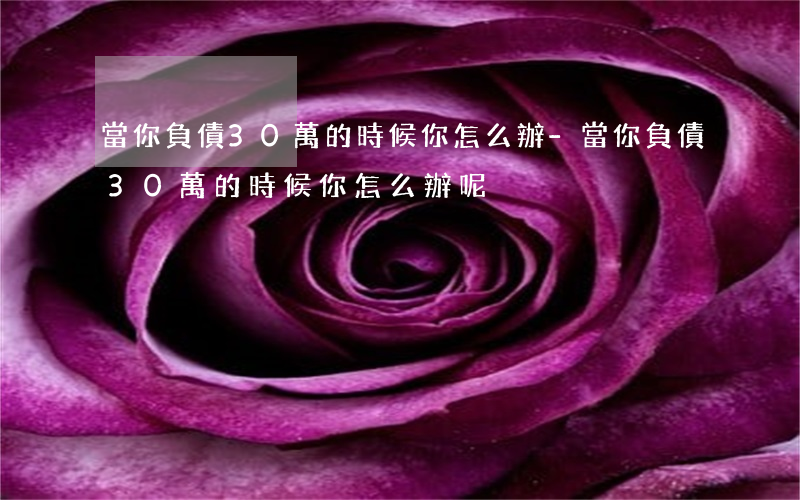 當你負債30萬的時候 你怎么辦-當你負債30萬的時候 你怎么辦呢