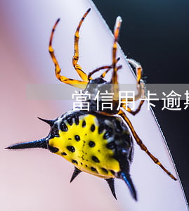 當信用卡逾期了 欠信用卡逾期還款后果