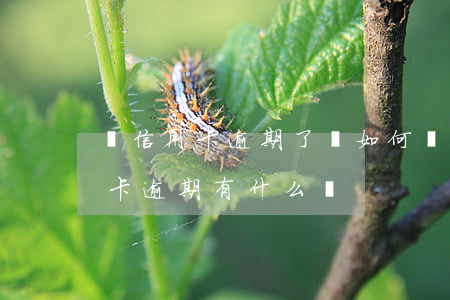 當信用卡逾期了該如何處理方法 銀行卡信用卡逾期有什么辦