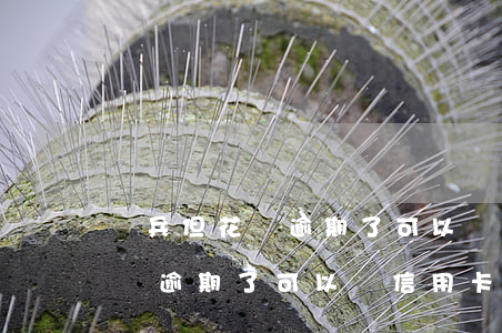 當兵但花唄逾期了可以辦信用卡嗎（當兵但花唄逾期了可以辦信用卡嗎）