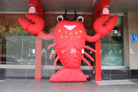當兵欠分期樂6000怎么辦