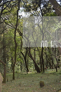 當前信用卡逾期的新聞