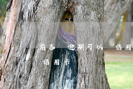 當前各種逾期可以辦信用卡嗎(有過逾期可以辦信用卡嗎)