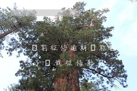 當前征信逾期還能幫人擔保嗎(替人擔保逾期了對我征信影響)