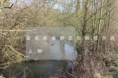 當前有逾期正在辦理房貸(房貸逾期半年了怎么辦)