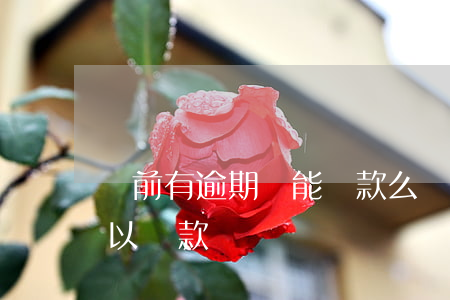 當前有逾期還能貸款么(貸款逾期還完了還可以貸款嗎)