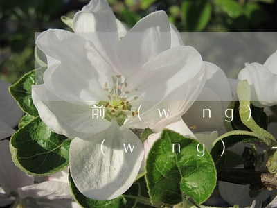 當前網(wǎng)貸有逾期可以再申請的網(wǎng)貸-當前網(wǎng)貸有逾期可以再申請的網(wǎng)貸平臺嗎