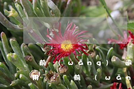當前網(wǎng)貸逾期會影響信用卡使用嗎-當前網(wǎng)貸逾期會影響信用卡使用嗎知乎