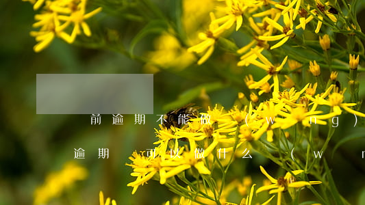 當前逾期不能做網(wǎng)貸嗎(當前有逾期還可以做什么網(wǎng)貸)