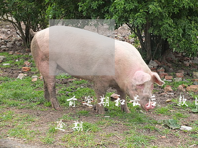 當前逾期和最后還款日(最后還款日當天還算逾期嗎)