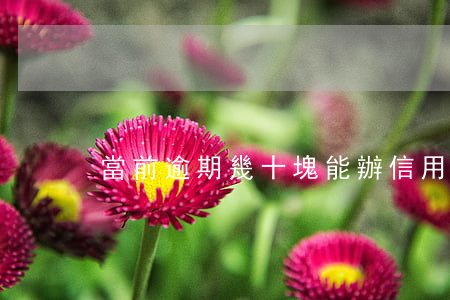 當前逾期幾十塊能辦信用卡嗎