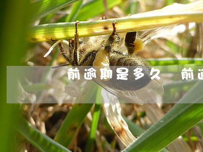 當前逾期是多久(當前逾期是多久可以更新掉)