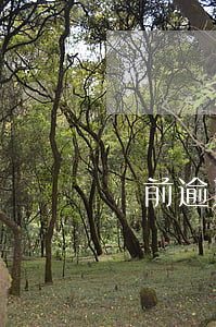 當前逾期能辦抵押貸款嗎(抵押房貸逾期后果)