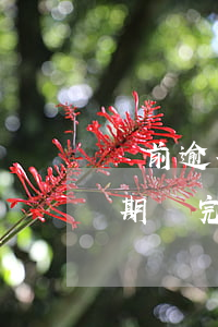 當前逾期還完后征信多久顯示已還-當前逾期還完后征信多久顯示已還清