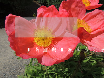 當前逾期還款后多久更新