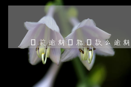 當前逾期還能貸款么(逾期還能貸款嗎)