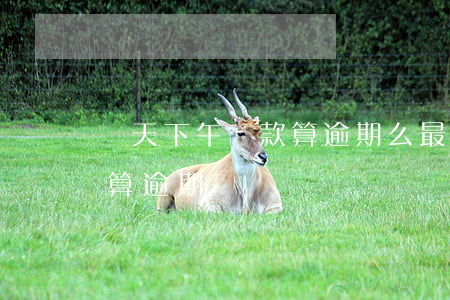 當天下午還款算逾期么(最晚還款日當天還款算逾期嗎)