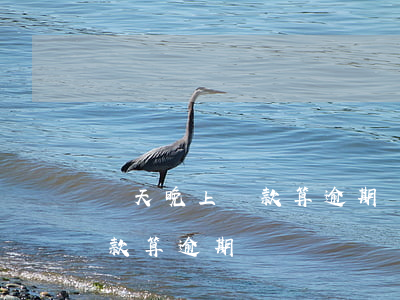 當天晚上還款算逾期(貸款最后一天晚上才還款算逾期嗎)