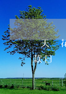 當天還花唄算不算逾期(花唄逾期天數是從還款日開始計算的嗎)