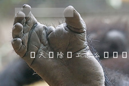 當天開除員工怎么賠償(開除員工賠償金) 當天開除員工怎么賠償(開除員工賠償金)