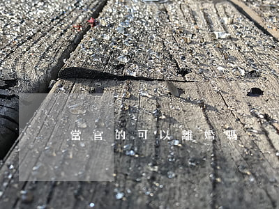 當官的可以離婚嗎