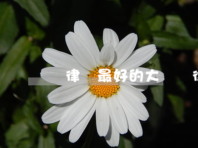 當律師最好的大學(當律師去哪個大學好)