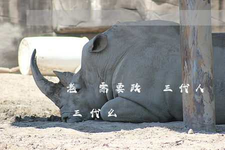 當老師需要政審三代人嗎(考教師編制需要政審三代么)