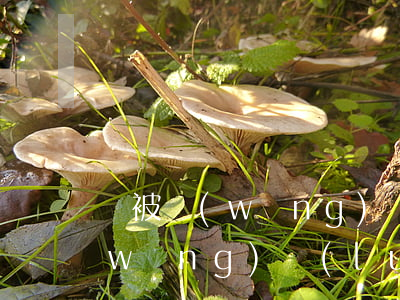當被網(wǎng)貸催收爆通訊錄后(網(wǎng)絡(luò)催收爆通訊錄可以投訴他嗎?)