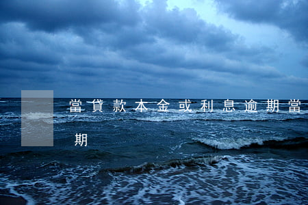 當貸款本金或利息逾期(當貸款本金或利息逾期)