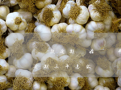 當貸款逾期開始償還本金(貸款本金已還,利息逾期三年,怎么辦)