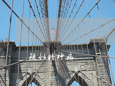 疑似精神病