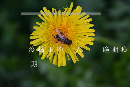 疫情下的個人網貸逾期(疫情期間網貸全面逾期)