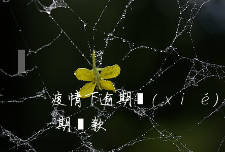 疫情下逾期協(xié)商還款(疫情影響延期還款)
