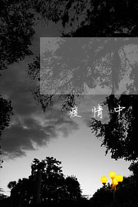 疫情中國貸款逾期情況