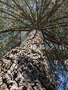 疫情之后信用卡逾期會(huì)怎樣(2020年疫情影響信用卡逾期怎么應(yīng)付催收)