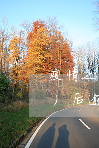 疫情之后信用卡逾期的多嗎(疫情過(guò)后逾期的人多嗎)
