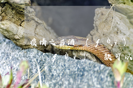 疫情之后消費(fèi)貸逾期 疫情期間消費(fèi)貸款可以延期