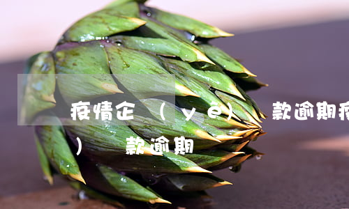 疫情企業(yè)貸款逾期(疫情企業(yè)貸款逾期)