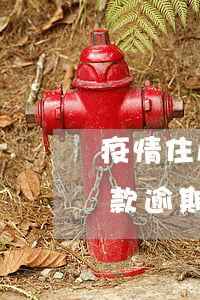 疫情住房貸款逾期(疫情期間企業(yè)貸款逾期官方回應)