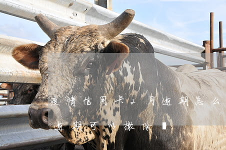 疫情信用卡2月逾期怎么取消(疫情期間征信逾期可以撤除嗎)