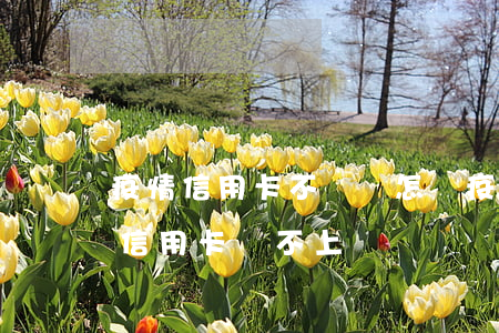 疫情信用卡不還會怎樣(疫情嚴(yán)重信用卡還不上)