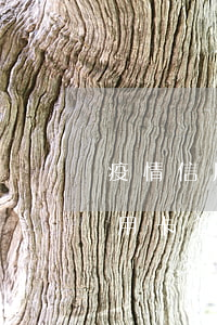 疫情信用卡協(xié)商-受疫情影響信用卡怎么延期還款